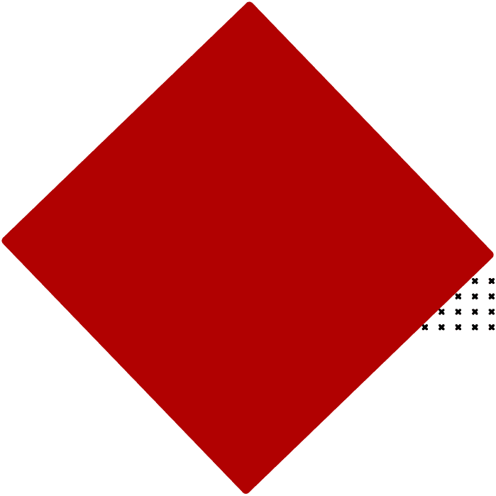 cross stitch x red box